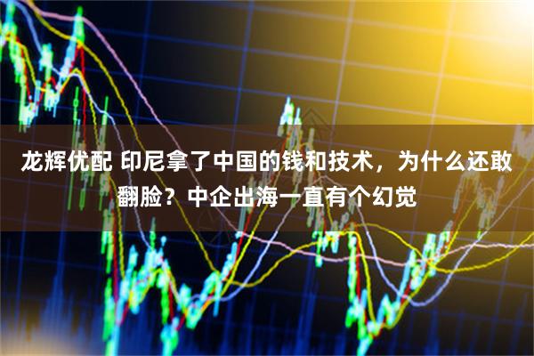 龙辉优配 印尼拿了中国的钱和技术，为什么还敢翻脸？中企出海一直有个幻觉