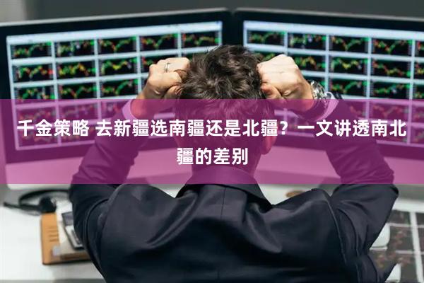 千金策略 去新疆选南疆还是北疆？一文讲透南北疆的差别