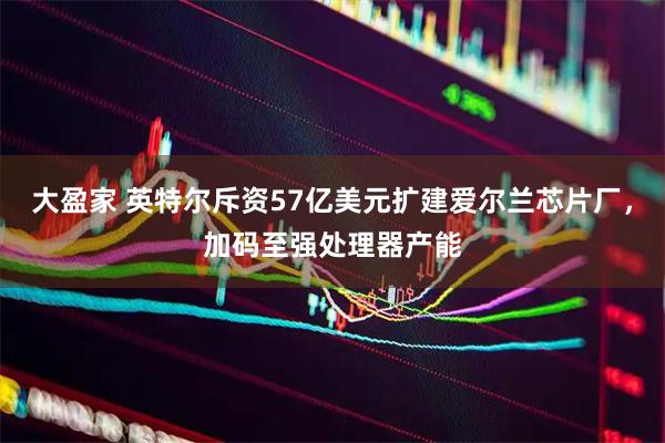 大盈家 英特尔斥资57亿美元扩建爱尔兰芯片厂，加码至强处理器产能